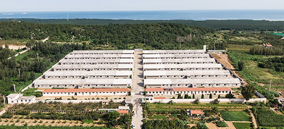 汗青1.jpg